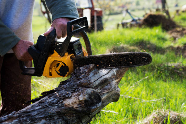 Lawn Watering Services in Napili Honokowai, HI